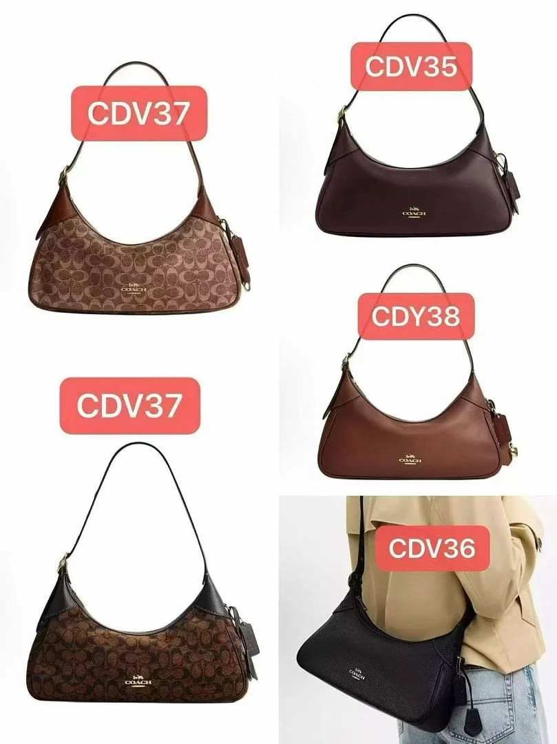 CDV37 - view 1